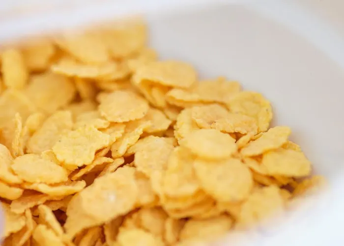 The Atlantis House *